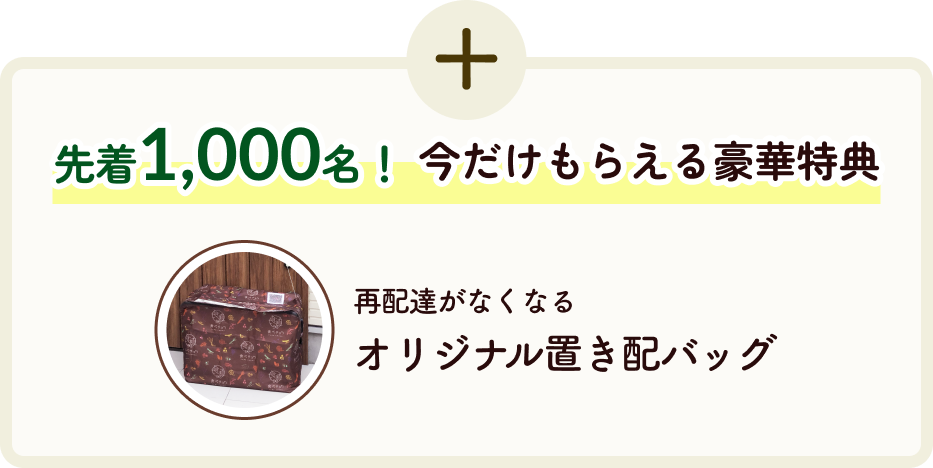 先着1,000名！今だけもらえる豪華特典 再配達がなくなるオリジナル置き配バッグ