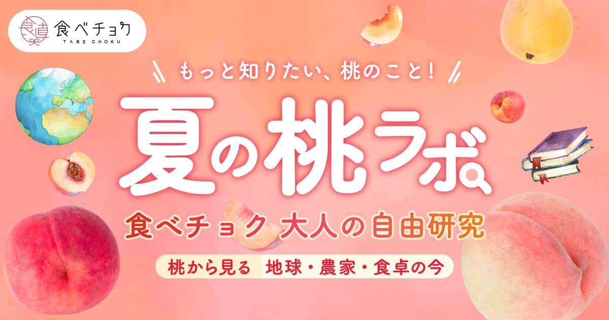 夏の桃ラボ 食べチョク 大人の自由研究。桃から見る地球・農家・食卓の今
