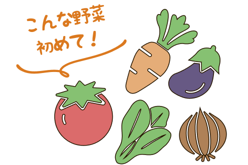 食べチョクコンシェルジュ 有機野菜などを農家直送 旬を楽しむ定期宅配サービス